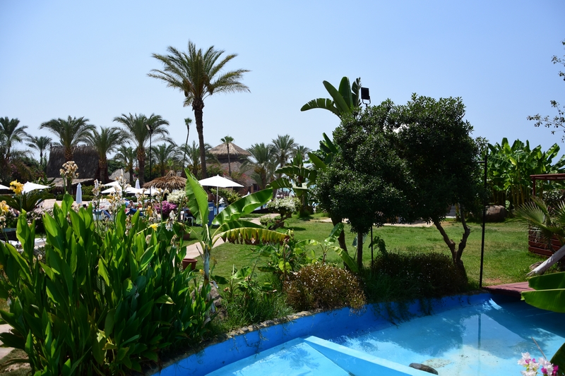 Pool Party at Janna Sur Mer